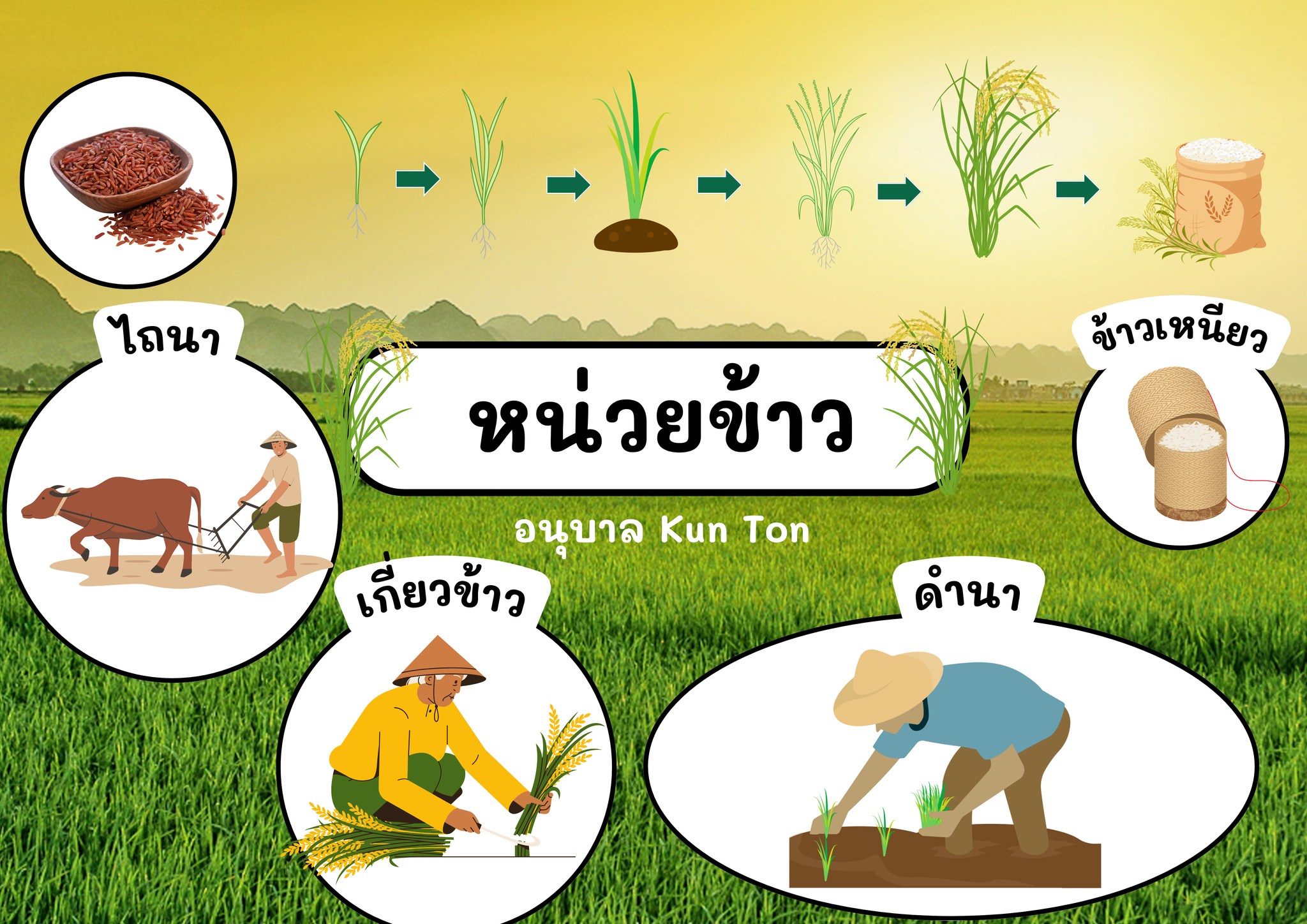 รูปของ ป้ายนิเทศ - ใบงานอนุบาลหน่วย ข้าว (PDF)