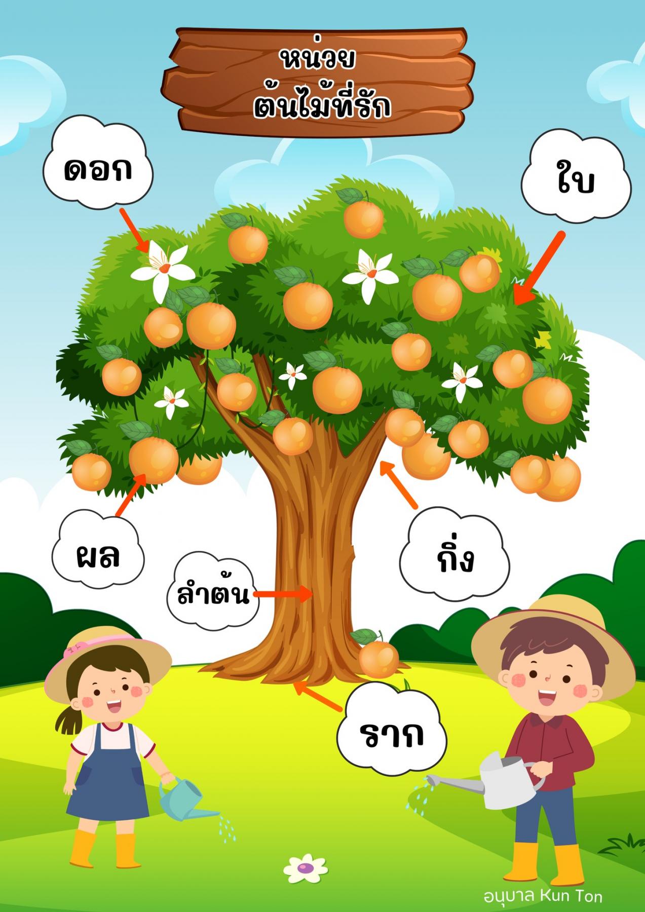 รูปของ แบ่งปัน !!  ป้ายนิเทศหน่วย : ต้นไม้ที่รัก  (PDF)